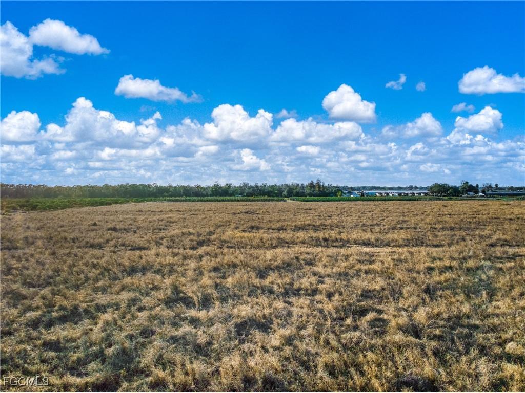 Rest Haven Road Zolfo Springs FL 33890 2026004435 image23