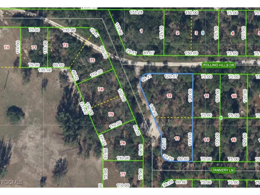 Rollings Hills Drive Lake Placid FL 33852 2025015159 image2