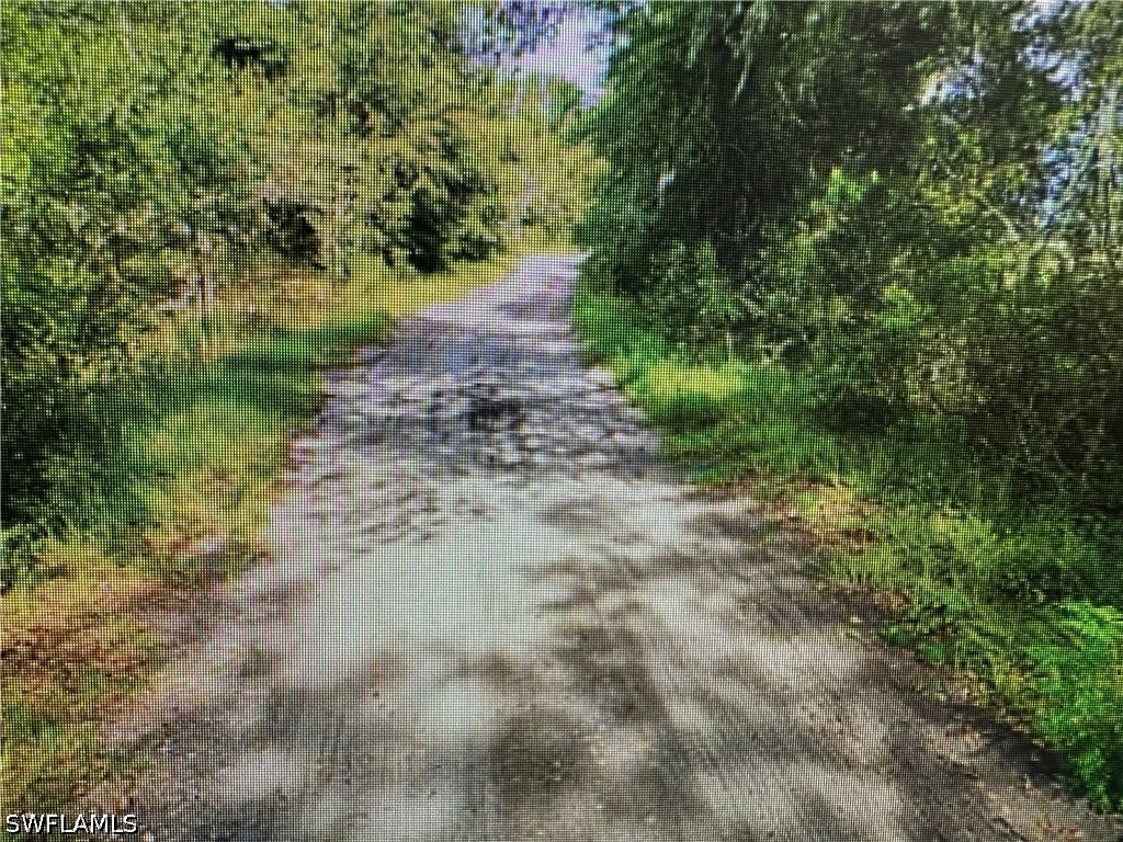 SE 29th Boulevard Sumterville FL 33585 226012863 image3