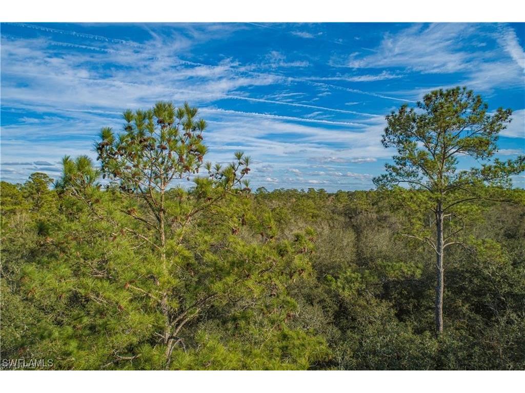  Branford FL 32088 223083379 image1