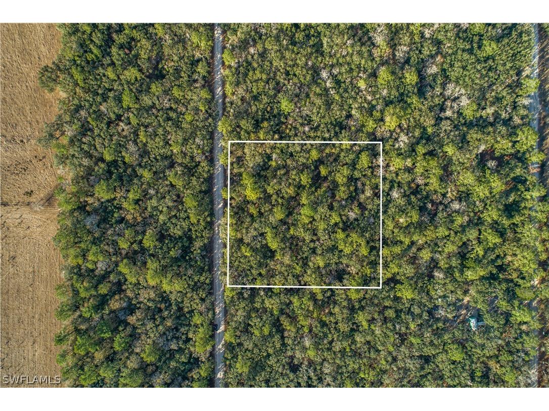 Se Wild Turkey Road SE Branford FL 32088 222090793 image1