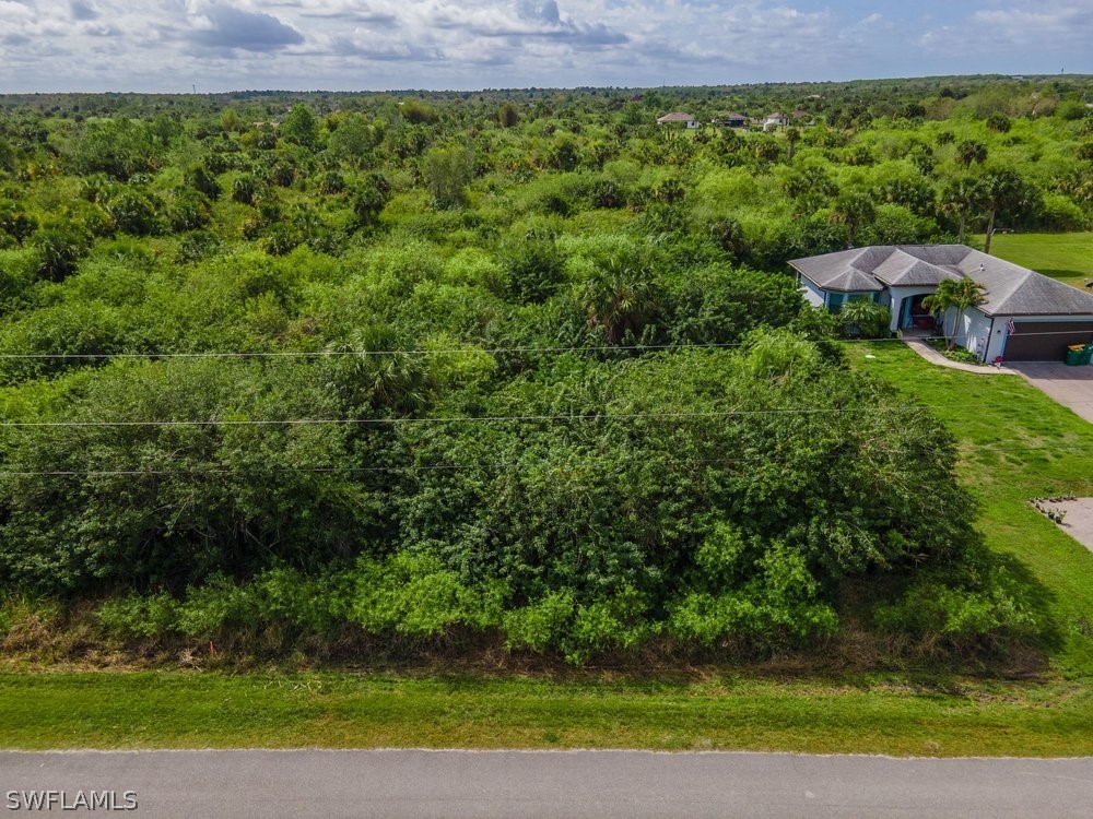 Shady Hollow Boulevard W Naples FL 34120 226011286 image15