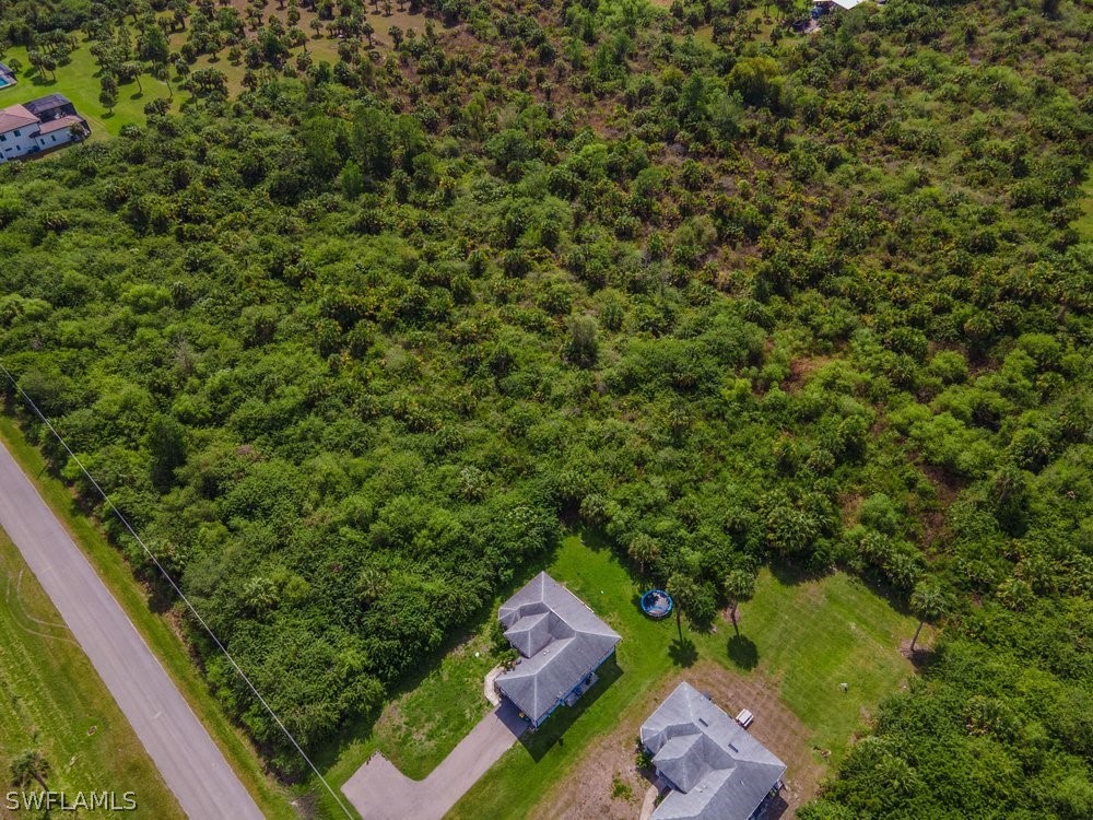 Shady Hollow Boulevard W Naples FL 34120 226011286 image6