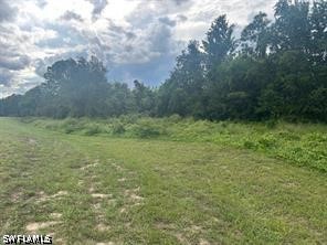 Sunset Vista Boulevard Kissimmee FL 34747 226017394 image2