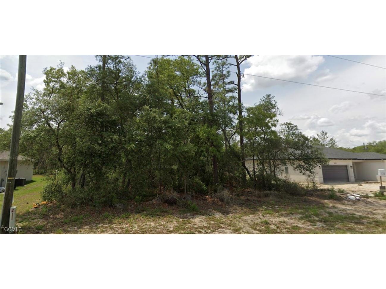 TBD SW 69th Ct. Road Ocala FL 34473 2026004003 image1