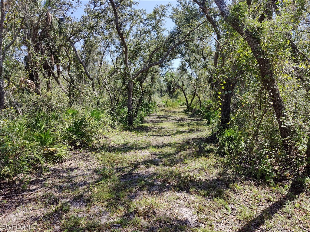 SW Horse Creek Road Arcadia FL 34266 223058078 image1