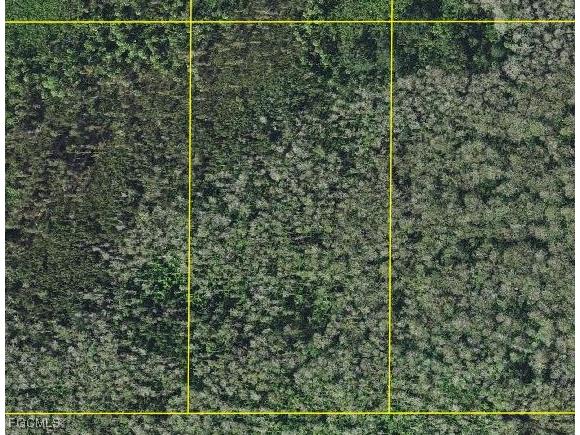 Sabal Palm Road Naples FL 34114 2025026393 image1