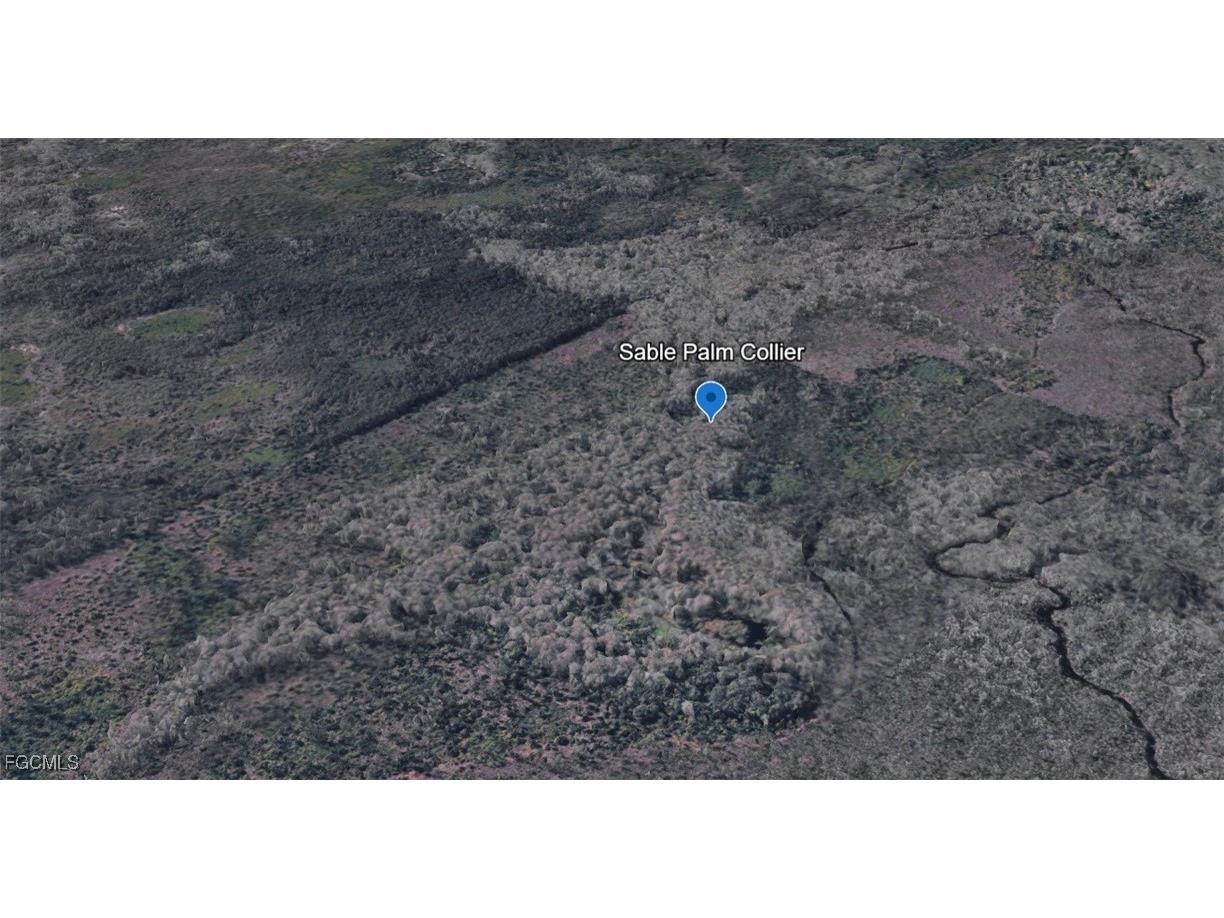 Sabal Palm Road Naples FL 34114 2025026393 image3