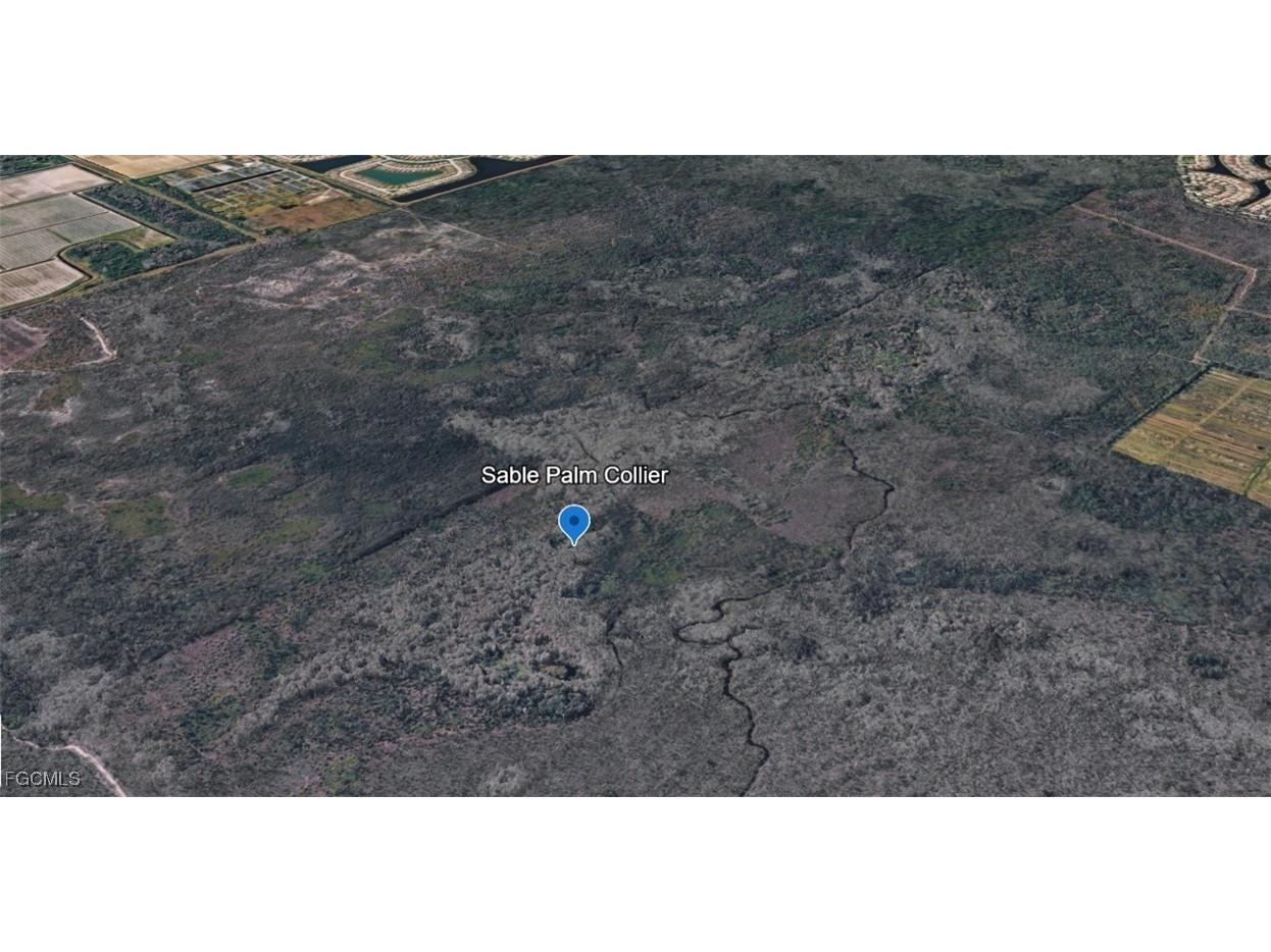 Sabal Palm Road Naples FL 34114 2025026393 image4