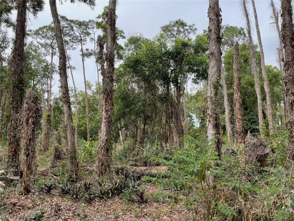 Saint Clair Shores Road Naples FL 34104 222009369 image1