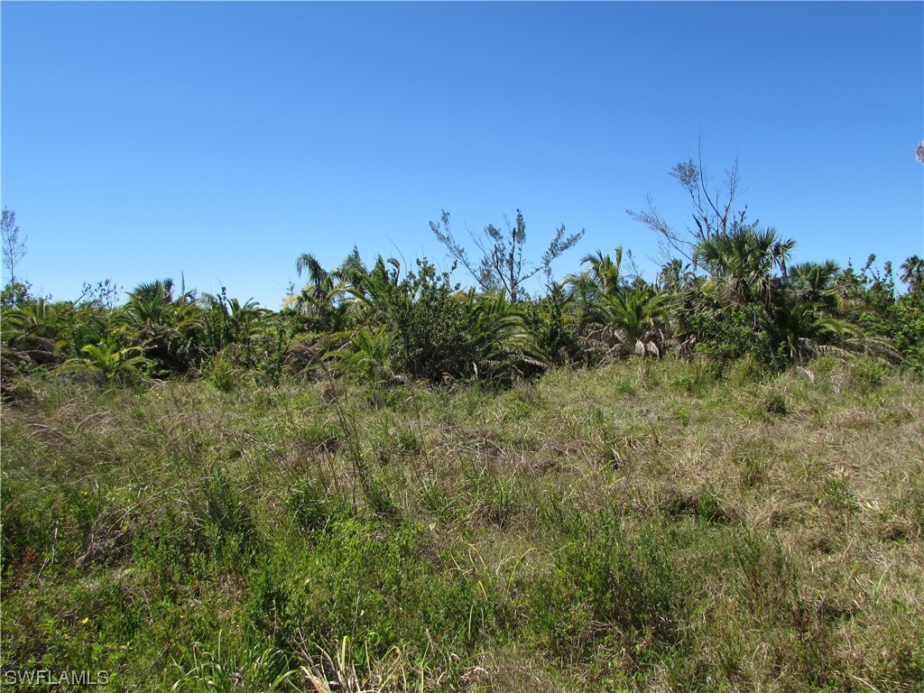 Samadani Lane Bokeelia FL 33922 223022463 image12