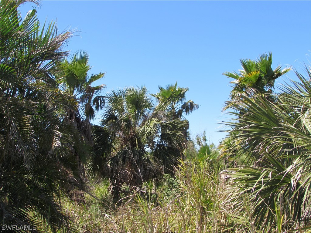 Samadani Lane Bokeelia FL 33922 223022463 image15