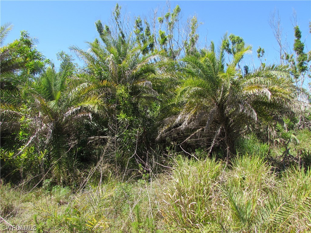 Samadani Lane Bokeelia FL 33922 223022463 image4