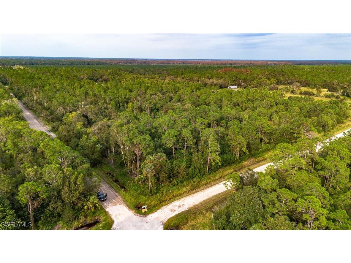 Sanctuary Road Naples FL 34120 225078396 image2