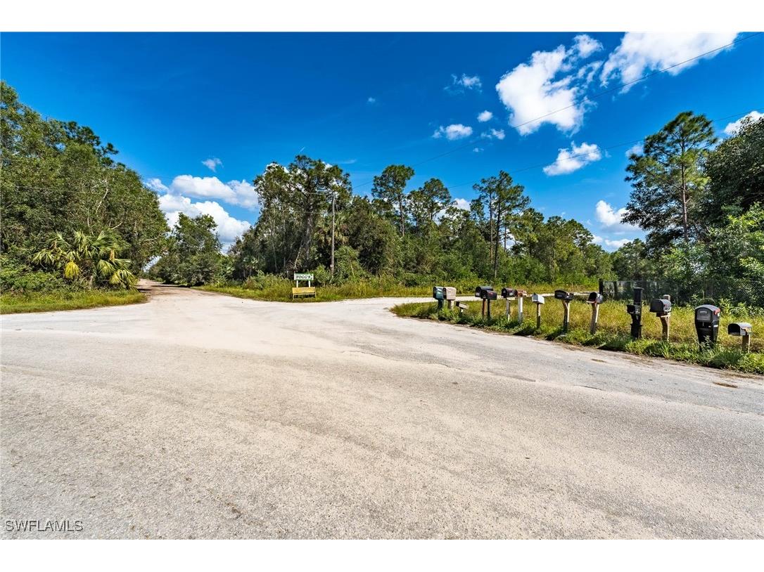 Sanctuary Road Naples FL 34120 225078396 image4