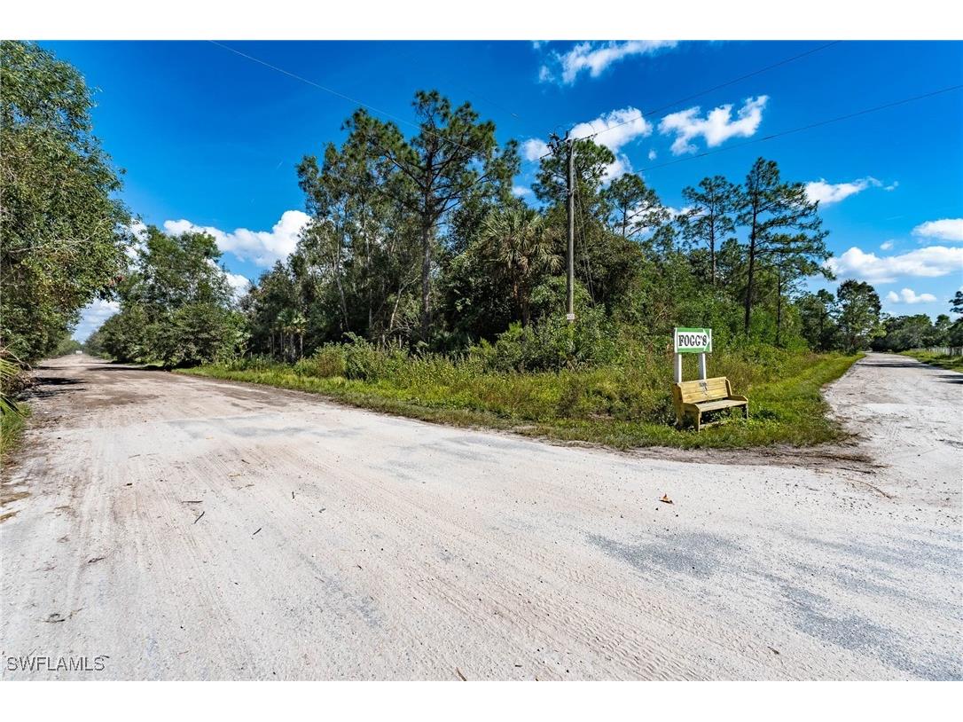 Sanctuary Road Naples FL 34120 225078396 image6