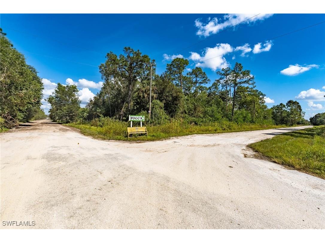 Sanctuary Road Naples FL 34120 225078396 image7