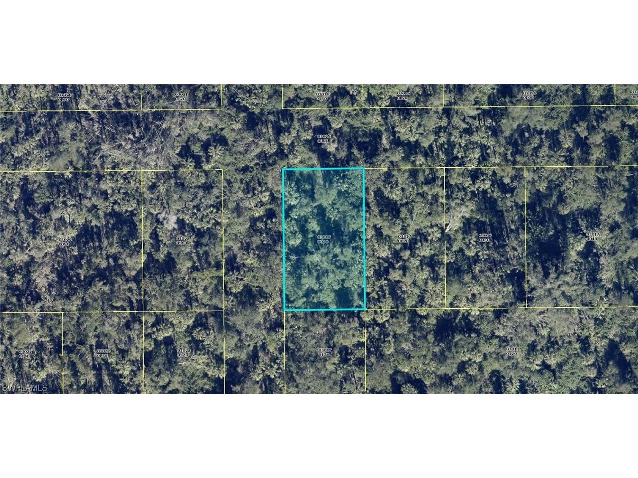 Santiago Street Estero FL 33928 223077458 image1