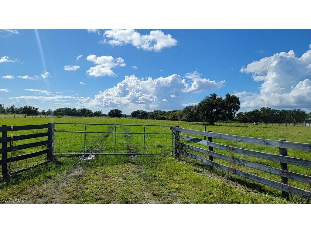 Sasser Road Zolfo Springs FL 33890 223073700 image1