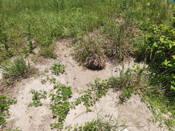 Saturn Court Labelle FL 33935 2025012109 image4