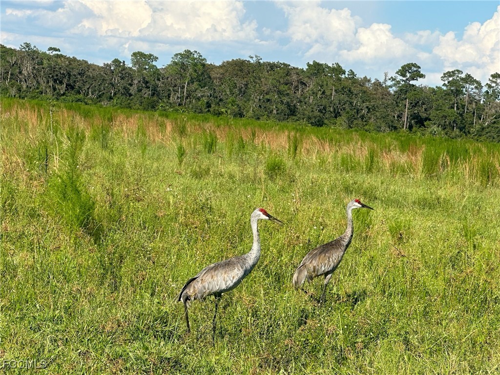 Secretariat Drive Labelle FL 33935 2025000604 image12