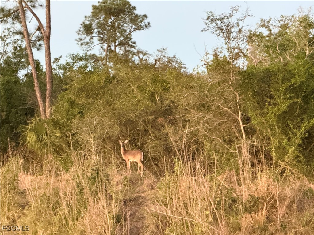 Secretariat Drive Labelle FL 33935 2025000604 image5