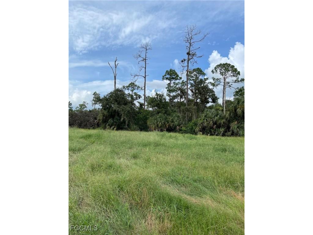 Secretariat Drive Labelle FL 33935 2025000604 image6