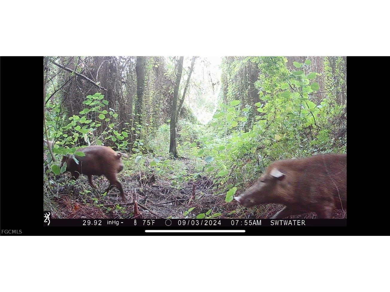 Secretariat Drive Labelle FL 33935 2026013419 image20