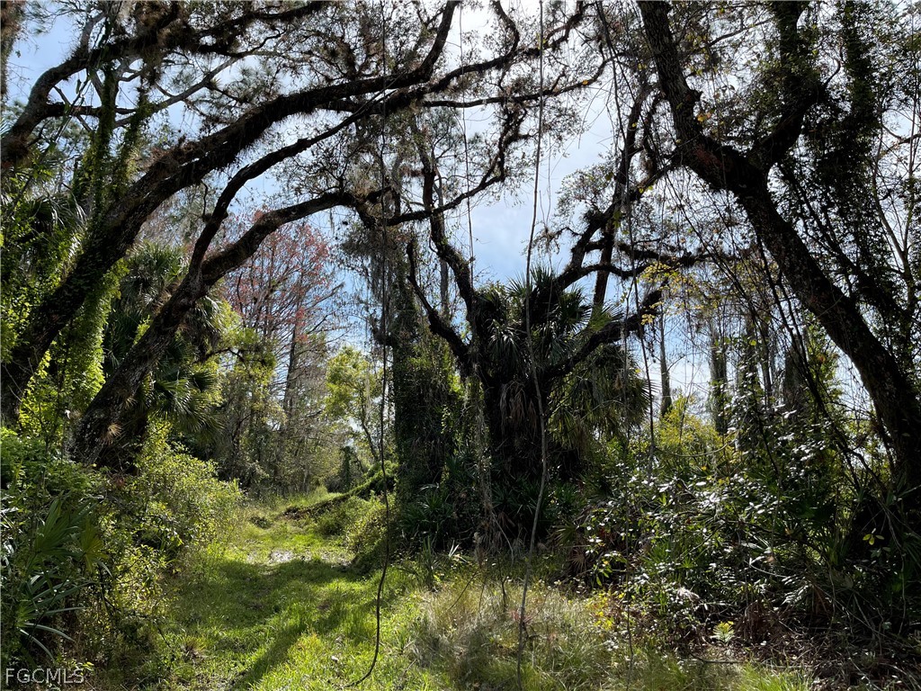 Secretariat Drive Labelle FL 33935 2026013419 image4