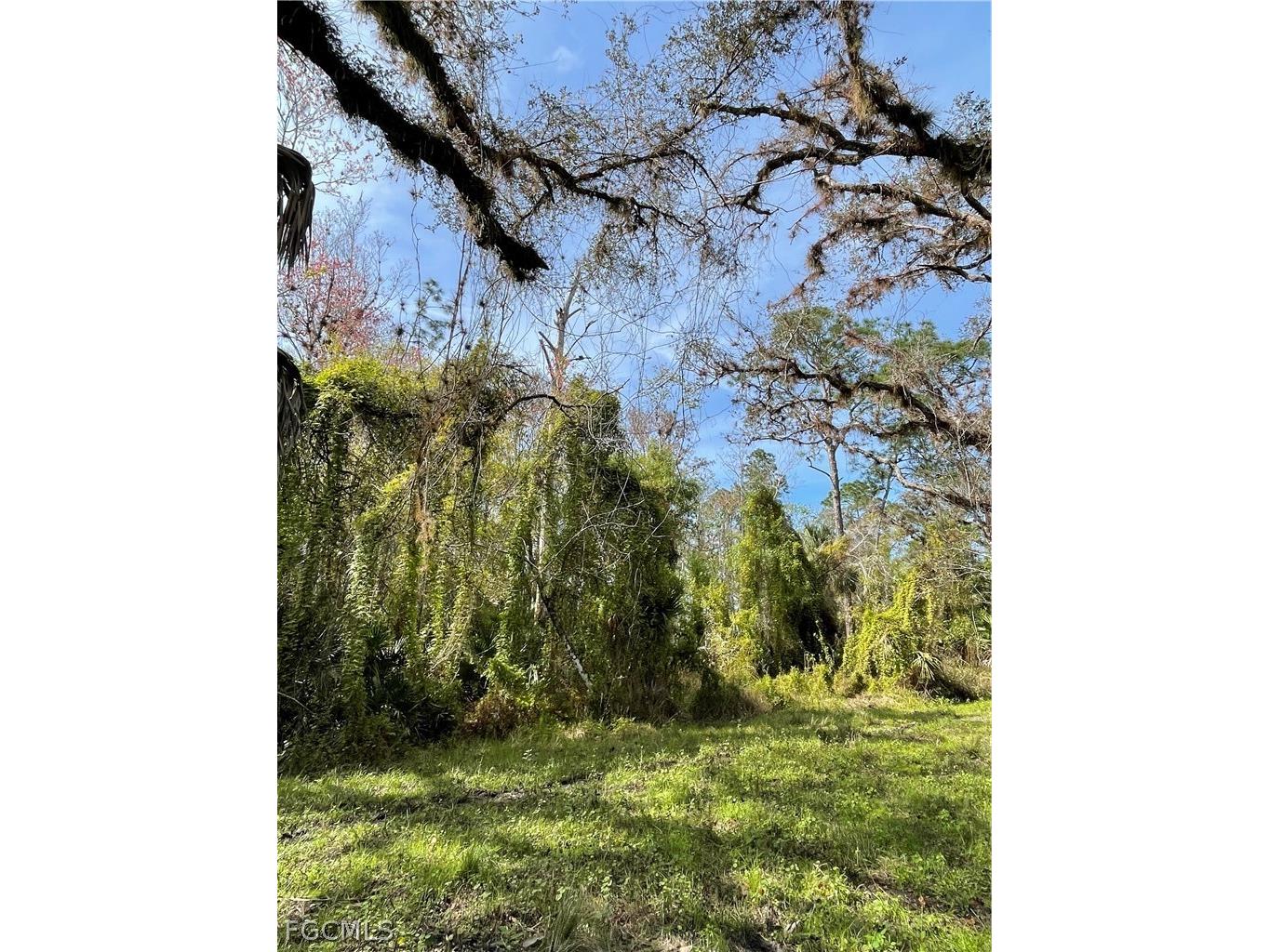 Secretariat Drive Labelle FL 33935 2026013419 image9