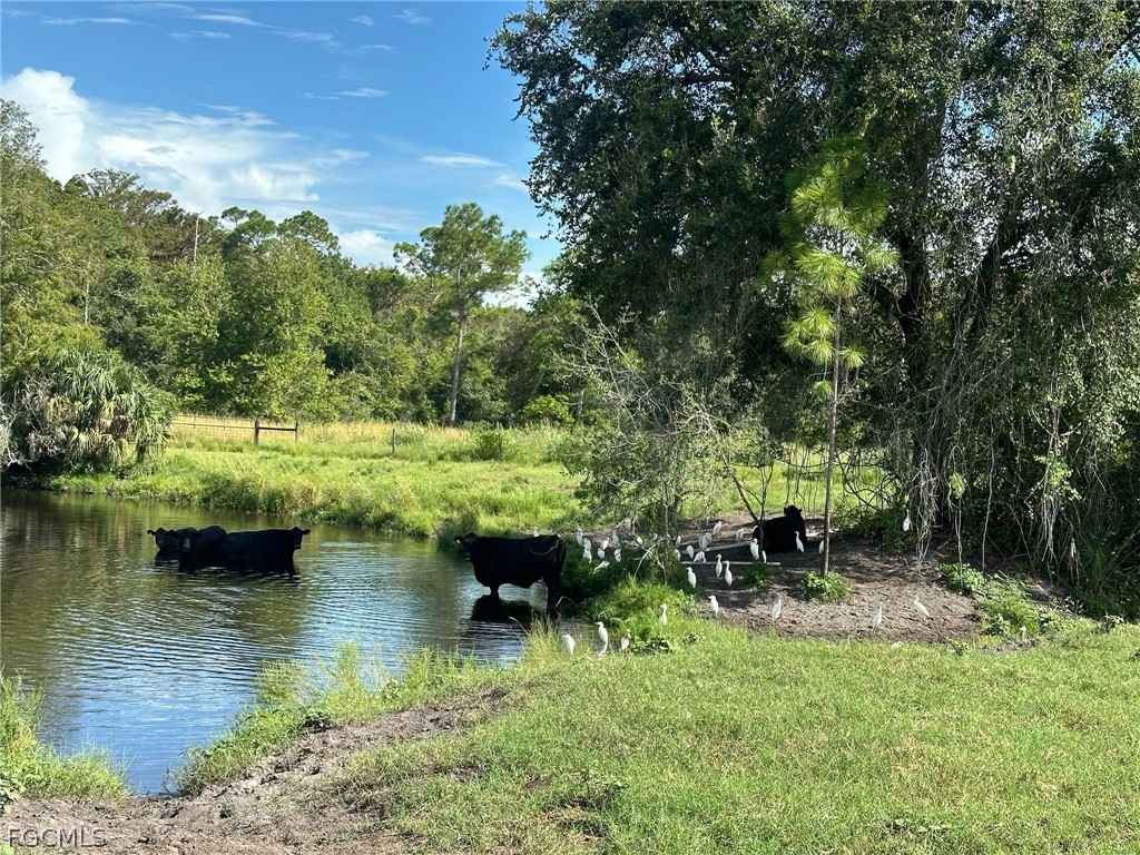 Secretariat Drive Labelle FL 33935 2026013421 image12