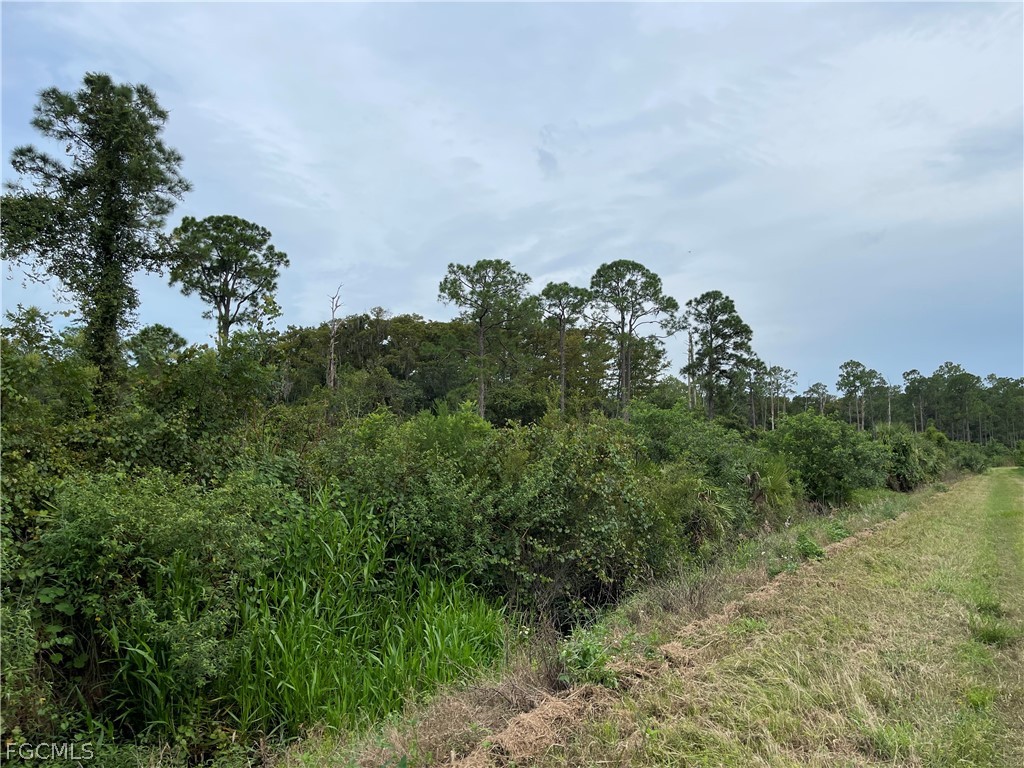 Secretariat Drive Labelle FL 33935 2026013421 image16