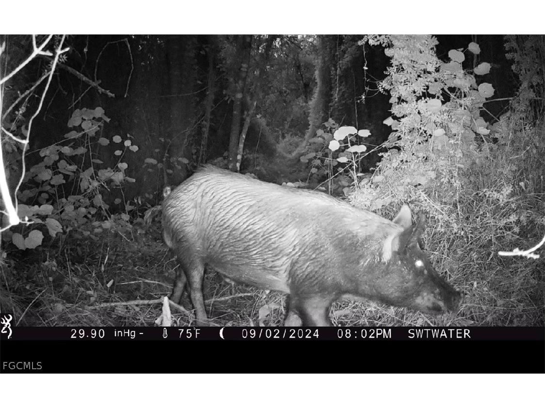 Secretariat Drive Labelle FL 33935 2026013421 image26