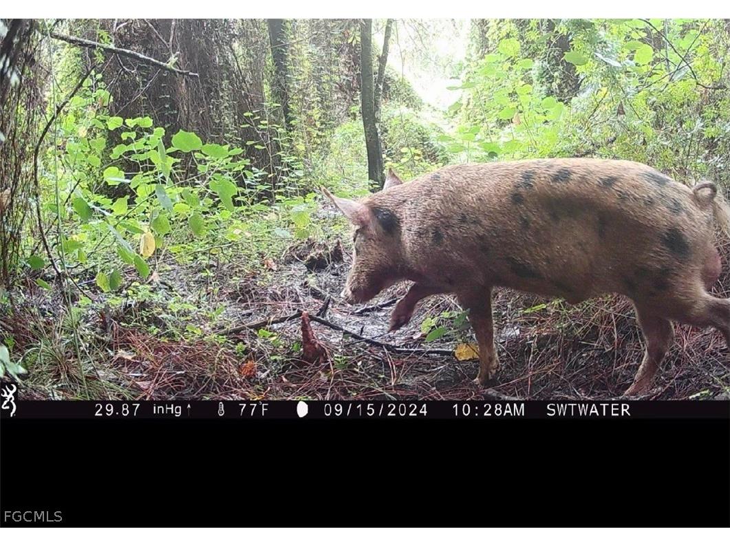 Secretariat Drive Labelle FL 33935 2026013421 image29