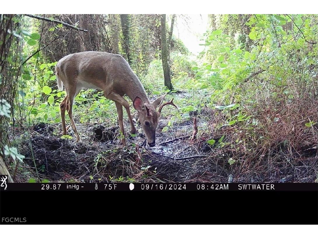 Secretariat Drive Labelle FL 33935 2026013421 image31