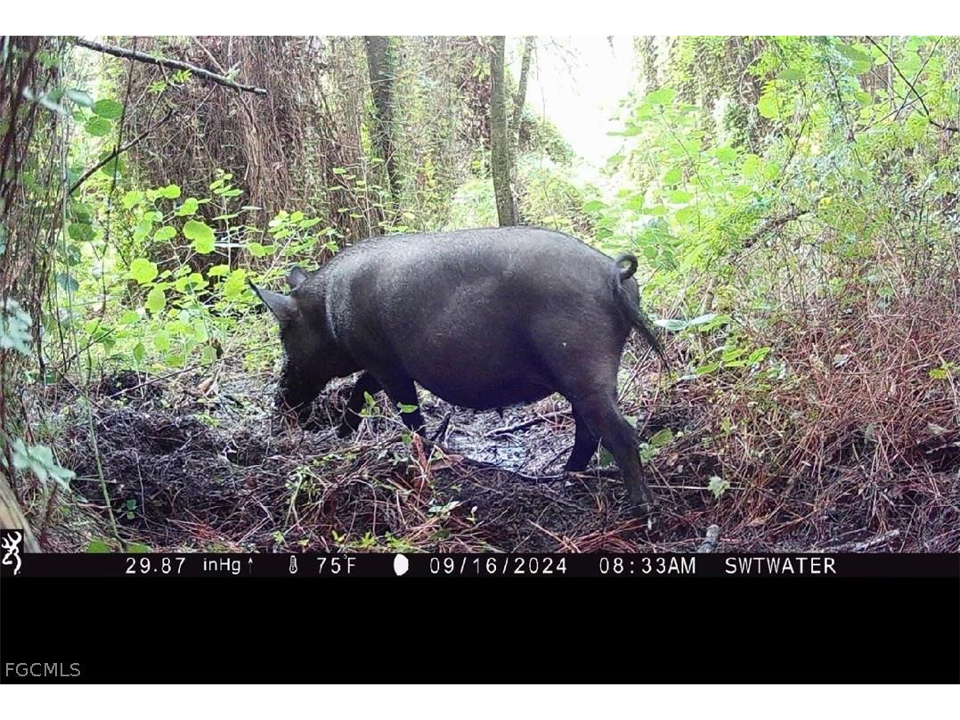 Secretariat Drive Labelle FL 33935 2026013421 image32