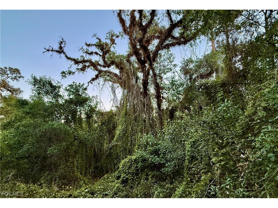 Secretariat Drive Labelle FL 33935 2026013421 image38