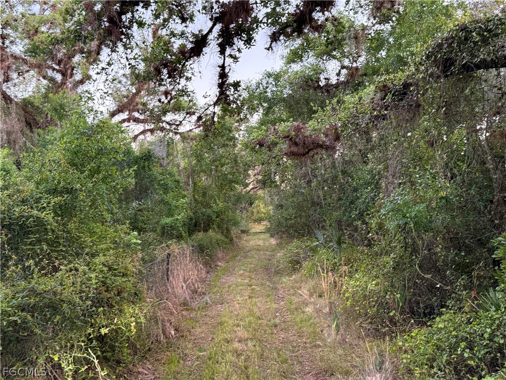 Secretariat Drive Labelle FL 33935 2026013421 image41