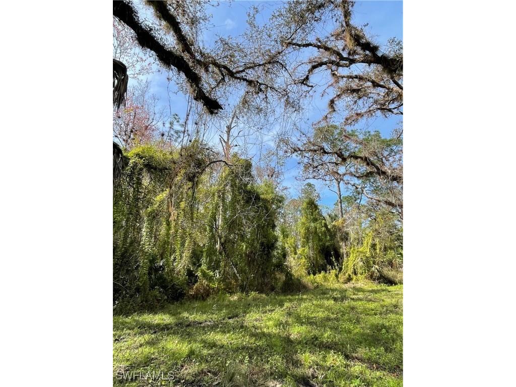 Secretariat Drive Labelle FL 33935 225021016 image14