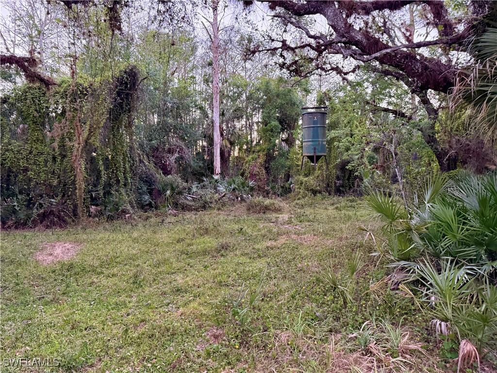 Secretariat Drive Labelle FL 33935 225021016 image39