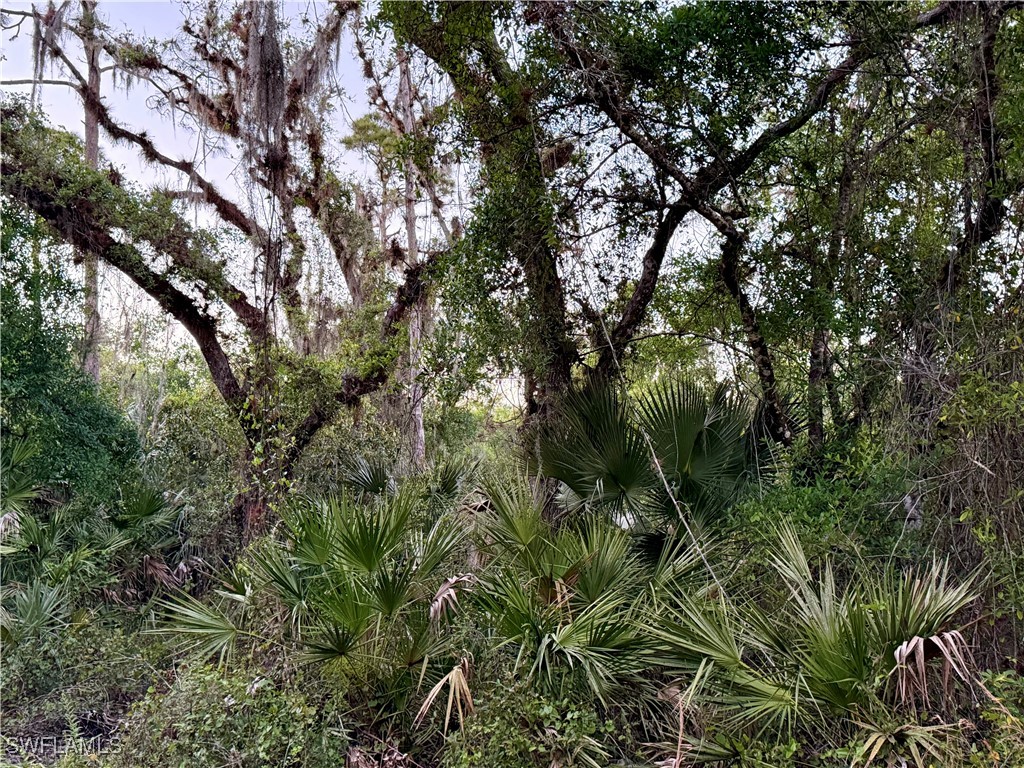 Secretariat Drive Labelle FL 33935 225021016 image41