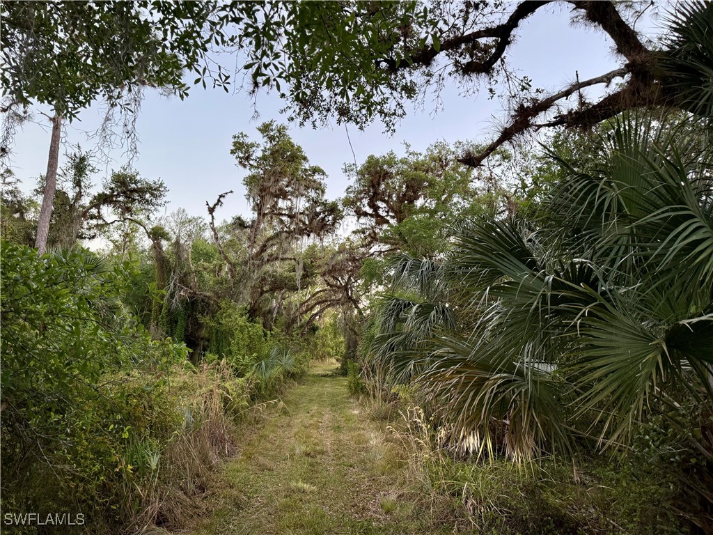 Secretariat Drive Labelle FL 33935 225021016 image42