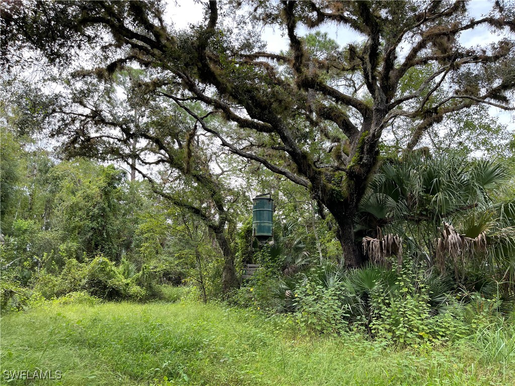 Secretariat Drive Labelle FL 33935 225021016 image8