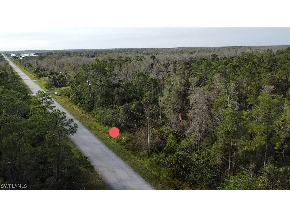 Shady Hollow Boulevard E Naples FL 34120 222081942 image1