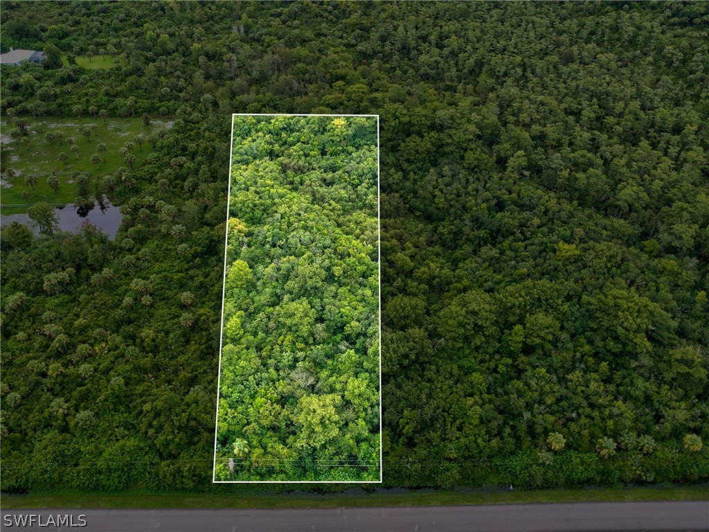Shady Hollow Boulevard E Naples FL 34120 224054312 image1