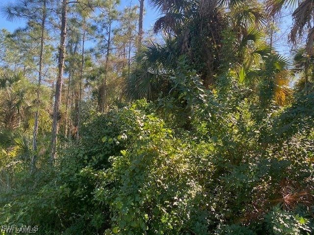 Shady Hollow Boulevard E Naples FL 34120 225059127 image2