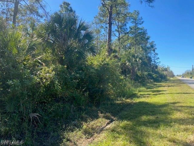 Shady Hollow Boulevard E Naples FL 34120 225059127 image4