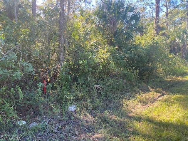 Shady Hollow Boulevard E Naples FL 34120 225059127 image5
