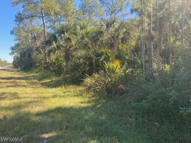 Shady Hollow Boulevard E Naples FL 34120 225059127 image6