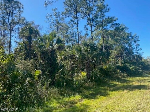 Shady Hollow Boulevard E Naples FL 34120 225059127 image7